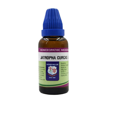 father-muller-jatropha-curcas-mother-tincture-